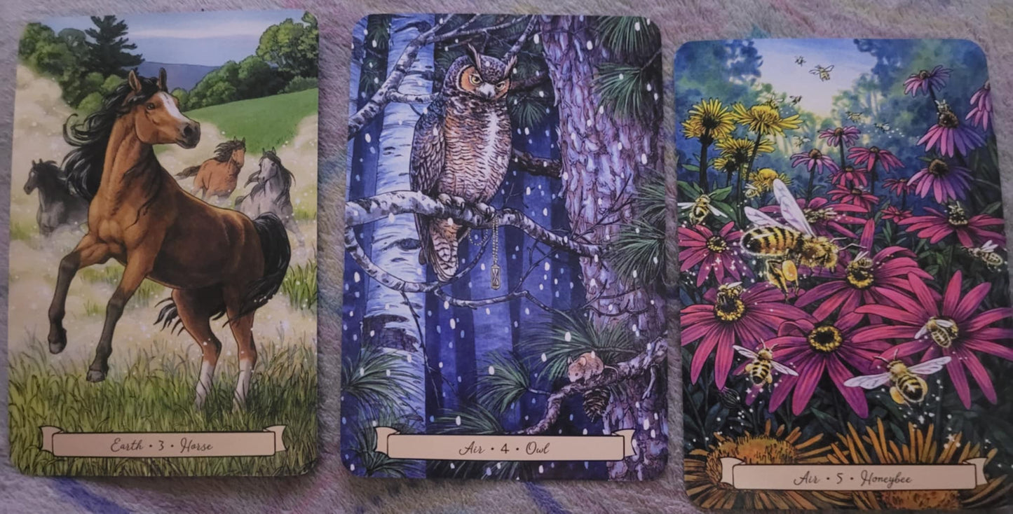 Tarot and Oracle Reading